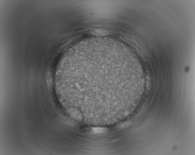 X0000116430371201001191516