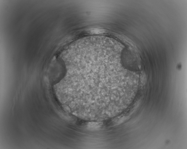 X0000116430373201001191516