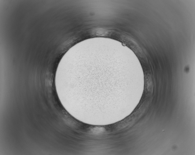 X0000116430374201001191516