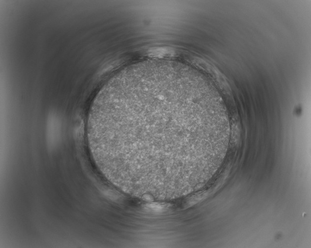 X0000116430375201001191516