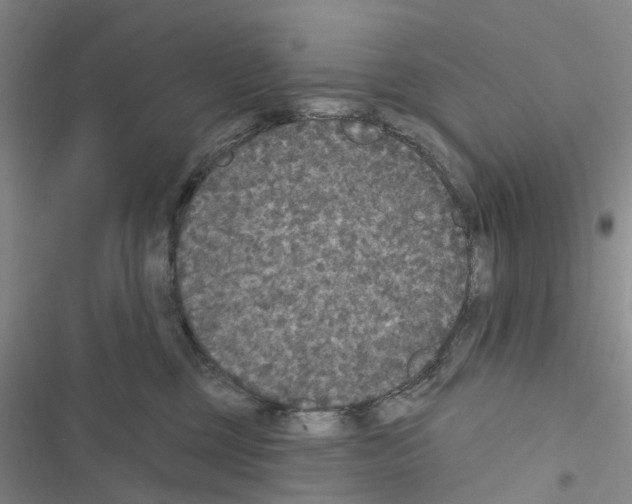 X0000116430377201001191516