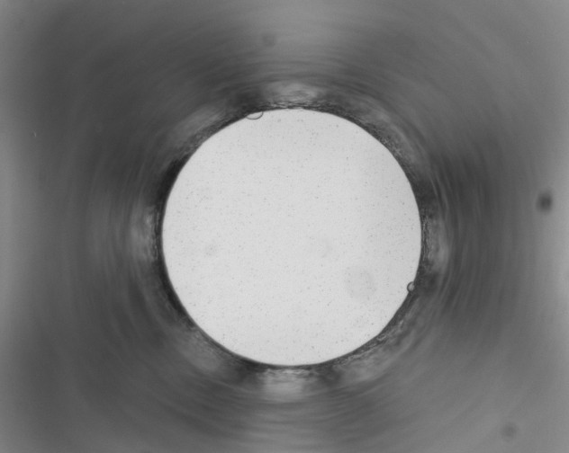 X0000116430378201001191516