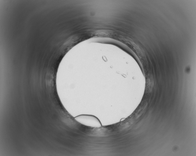 X0000116430379201001191516