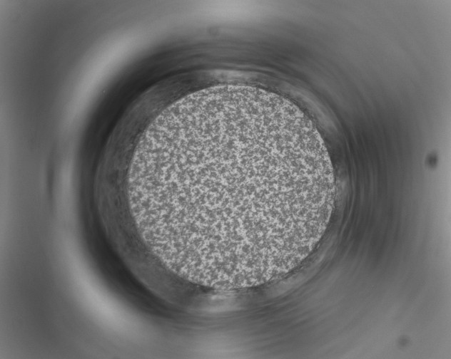 X0000116430381201001191516