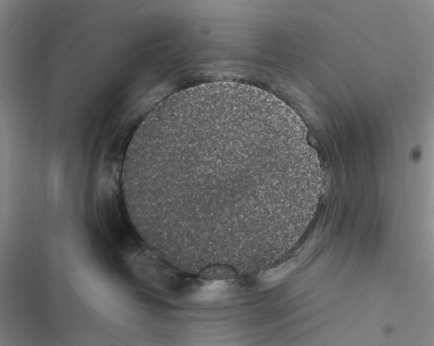 X0000116430382201001191516