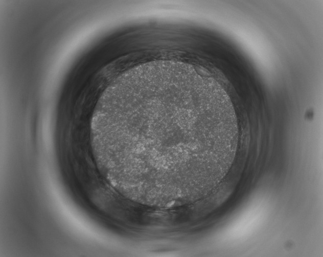 X0000116430383201001191516