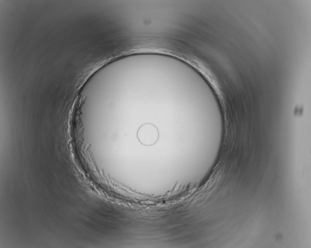 X0000116430385201001191515