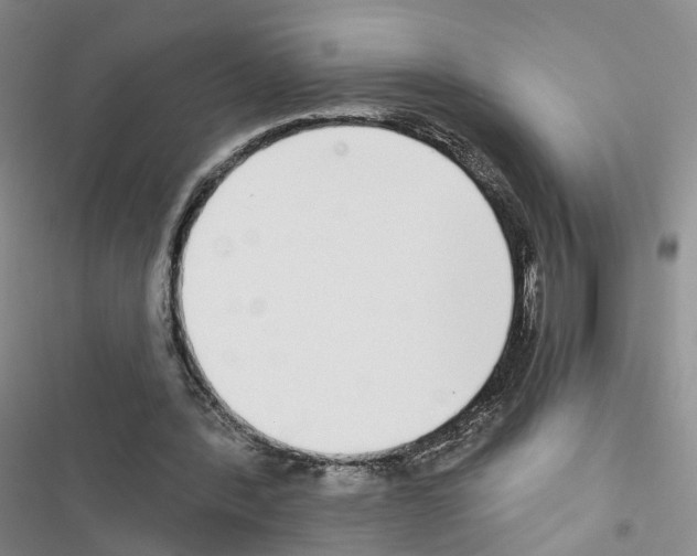 X0000116430388201001191515