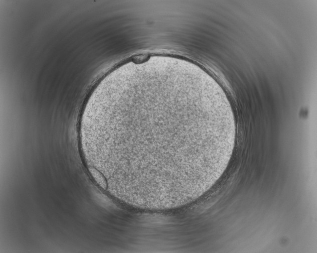 X0000116430389201001191515