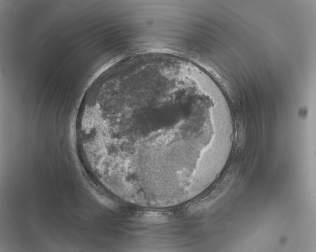 X0000116430390201001191515