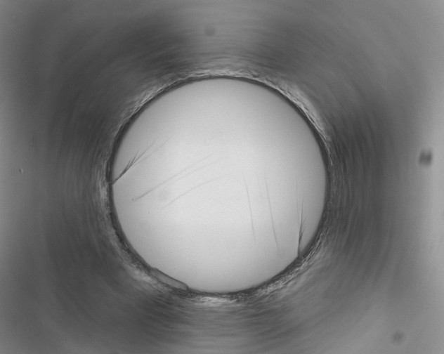 X0000116430393201001191515