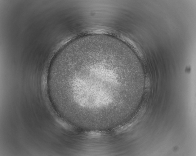 X0000116430394201001191515