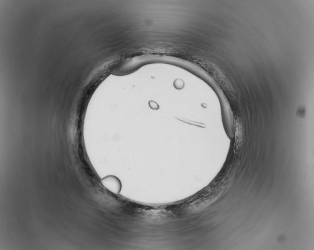 X0000116430396201001191515