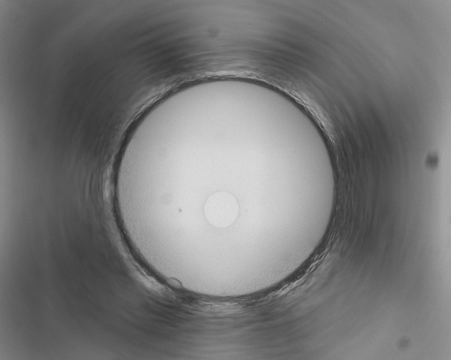 X0000116430397201001191515