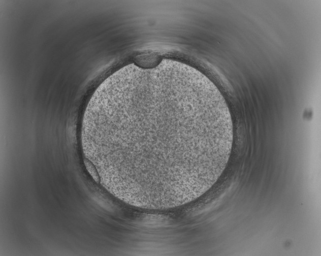 X0000116430399201001191515