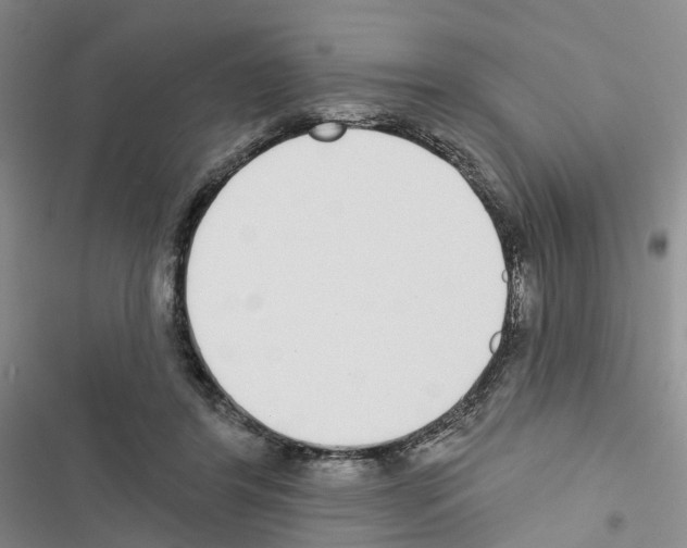 X0000116430404201001191515