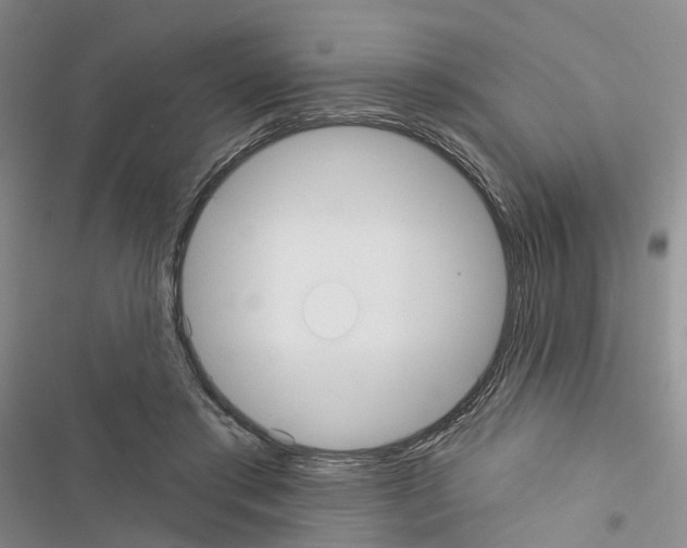 X0000116430405201001191515