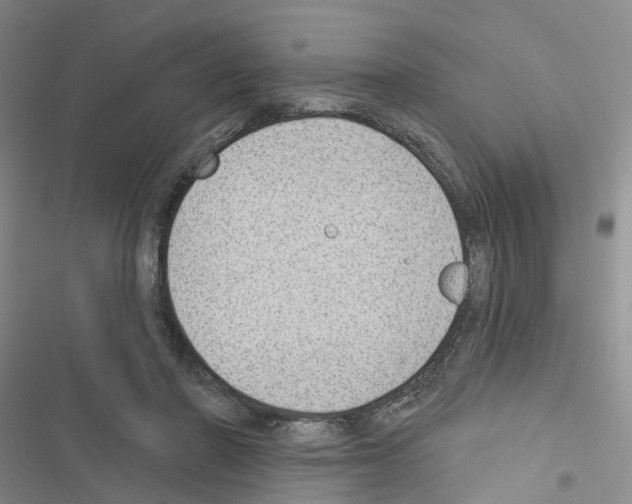 X0000116430406201001191515