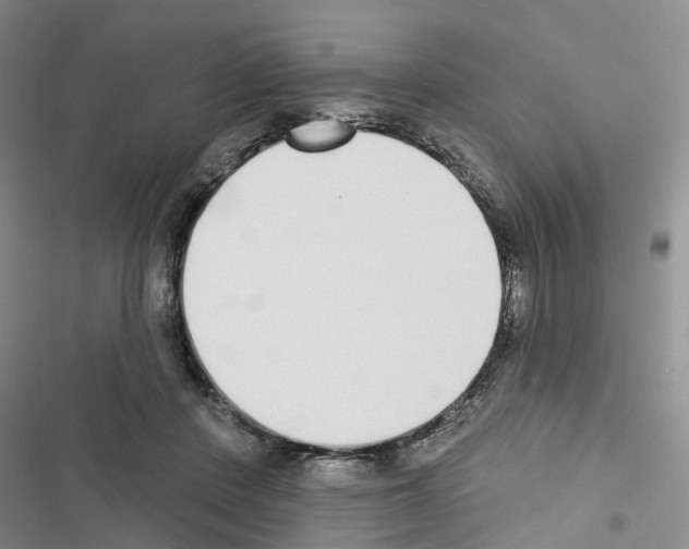 X0000116430408201001191515