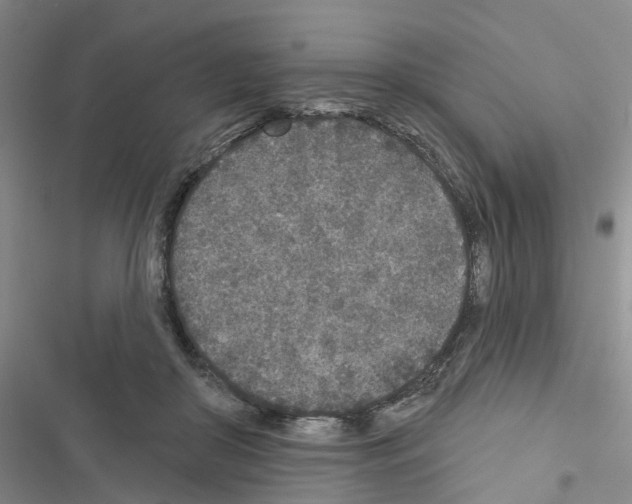 X0000116430410201001191515