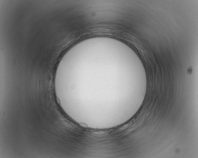 X0000116430411201001191515