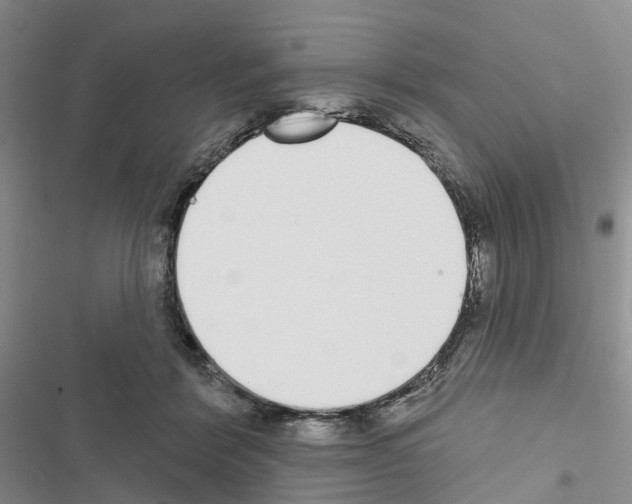 X0000116430412201001191515