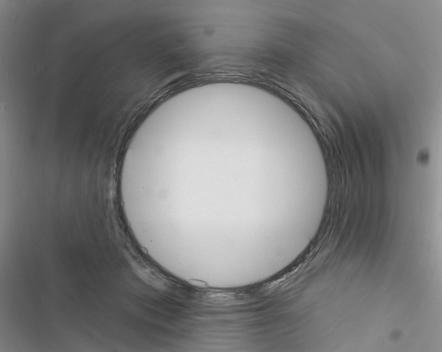 X0000116430413201001191515