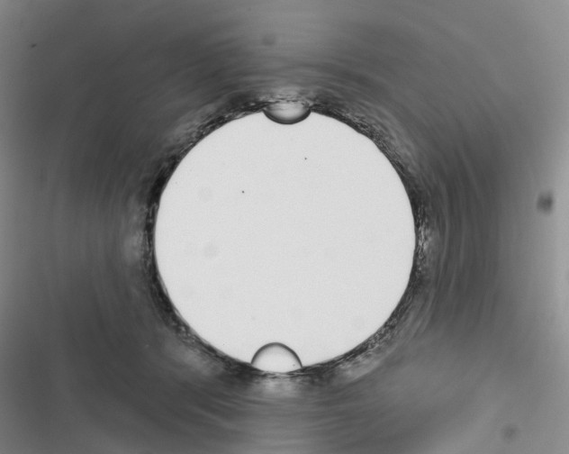 X0000116430416201001191515