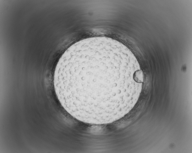 X0000116430418201001191515