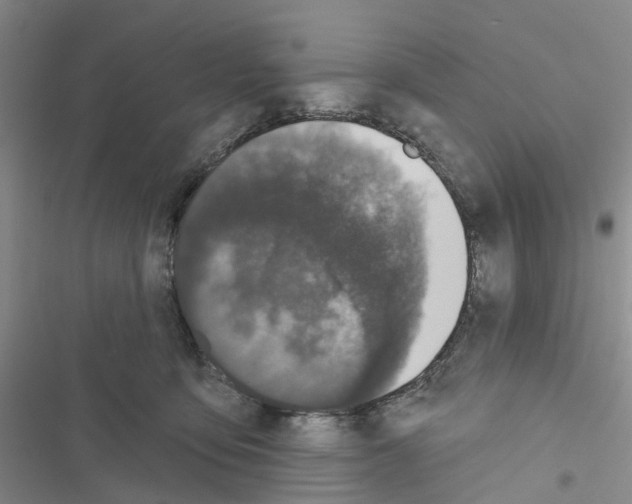 X0000116430419201001191515