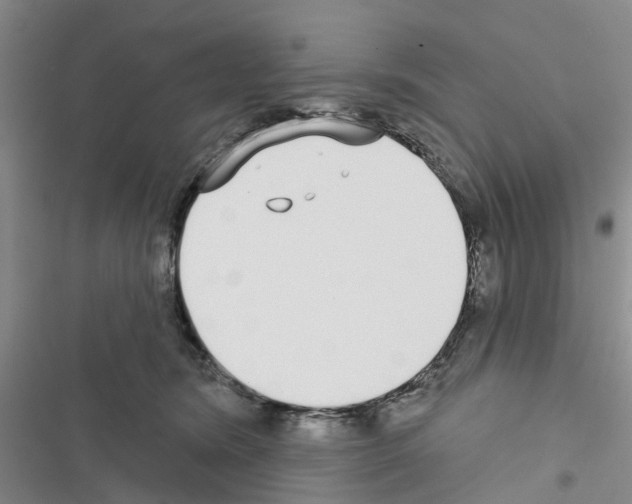 X0000116430420201001191515