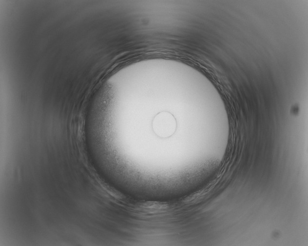 X0000116430421201001191515