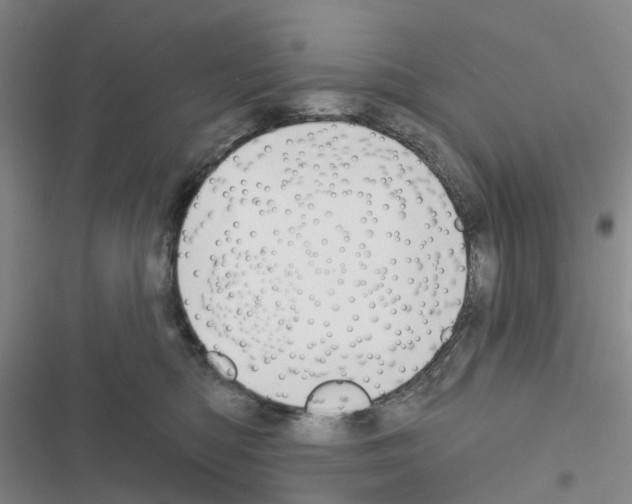 X0000116430422201001191515