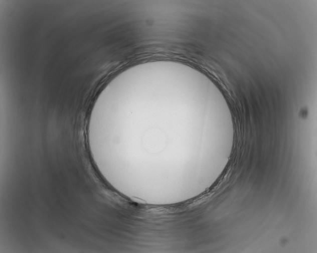 X0000116430423201001191515