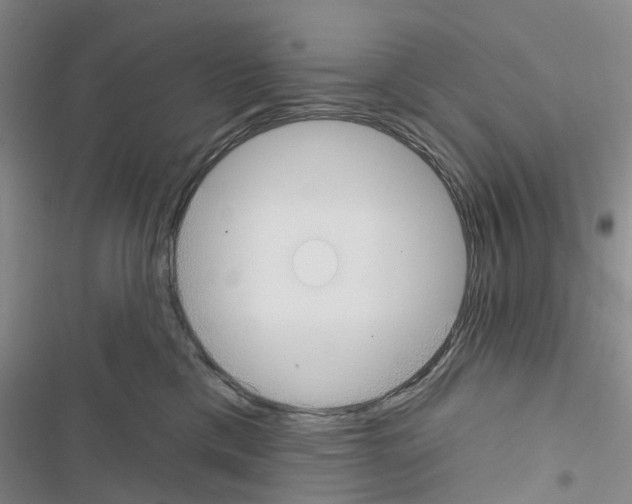 X0000116430425201001191515