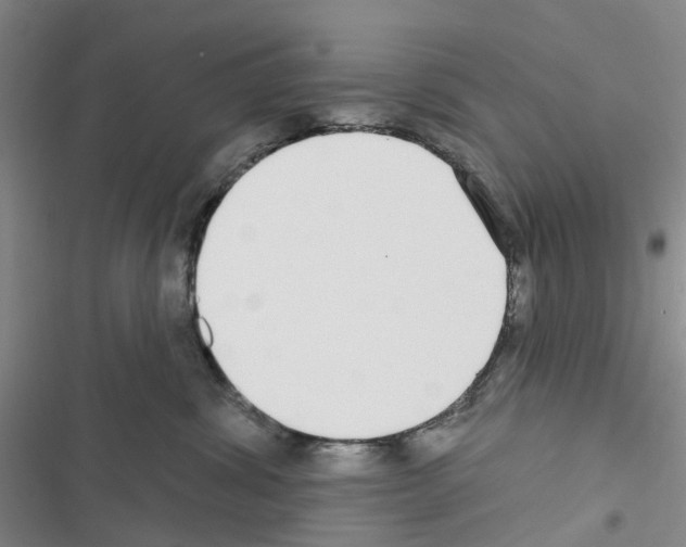 X0000116430428201001191515