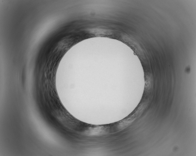 X0000116430430201001191515