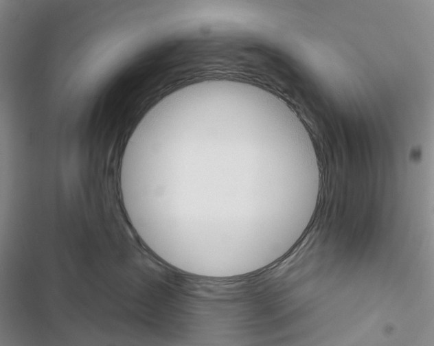 X0000116430431201001191515