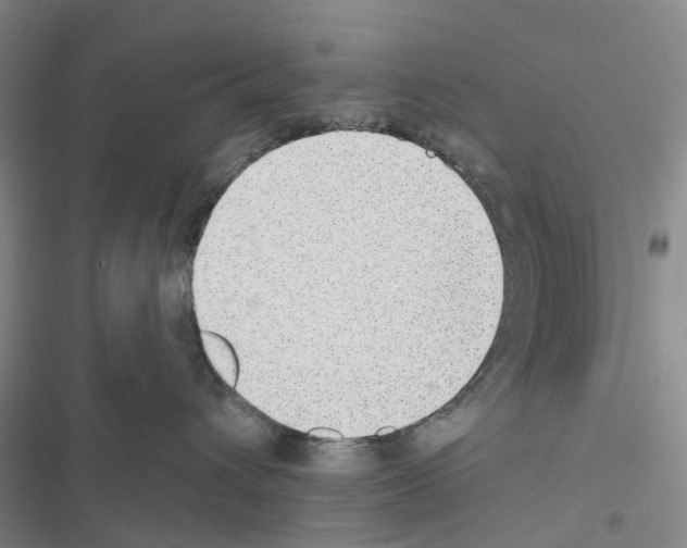 X0000116430432201001191515