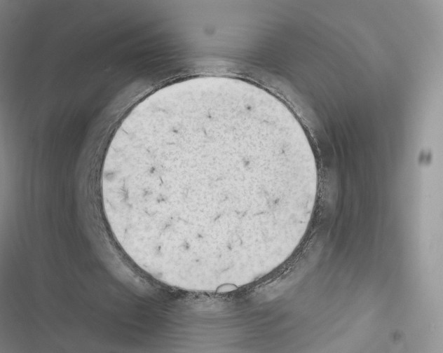 X0000116430433201001191514