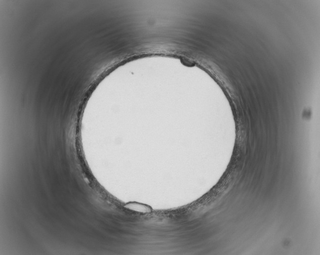 X0000116430434201001191514
