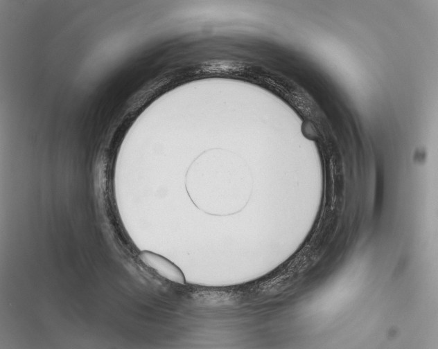 X0000116430435201001191514