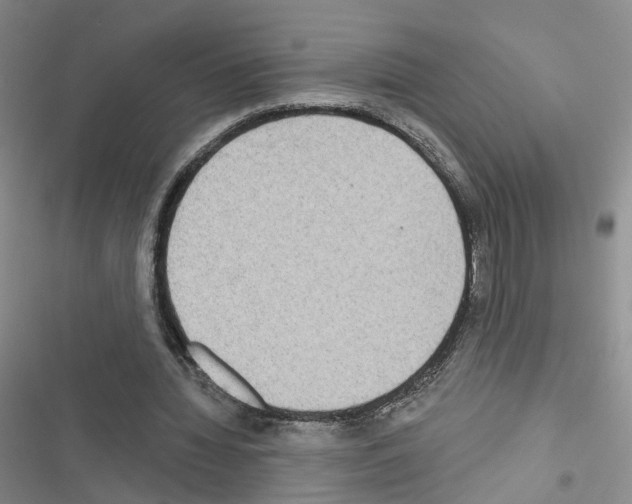 X0000116430436201001191514