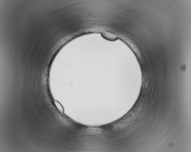 X0000116430437201001191514