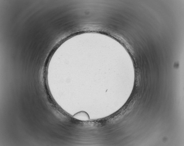 X0000116430439201001191514