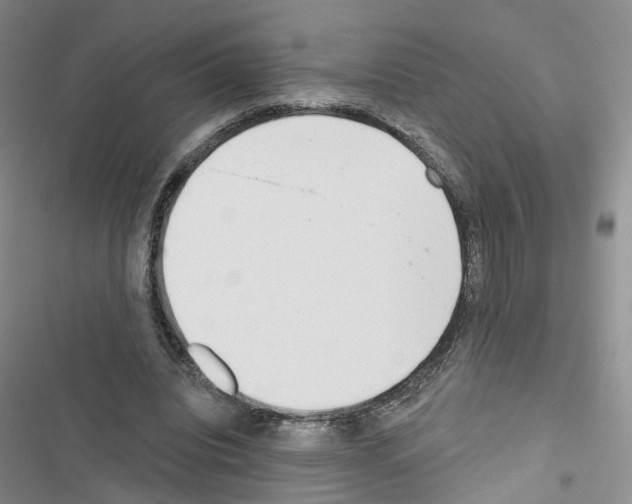 X0000116430440201001191514