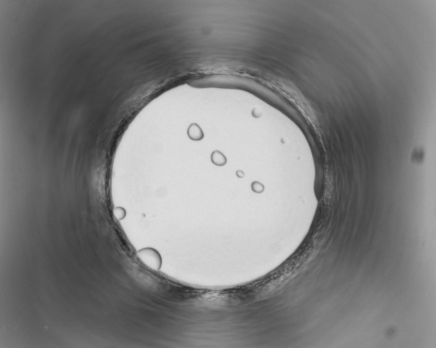 X0000116430441201001191514
