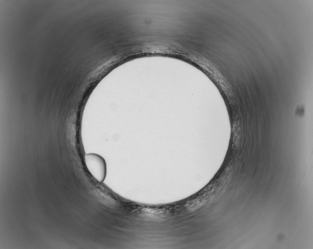 X0000116430442201001191514