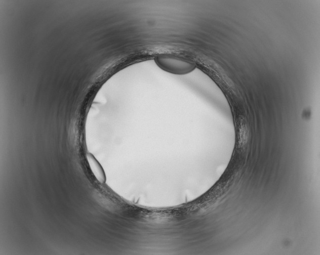 X0000116430444201001191514
