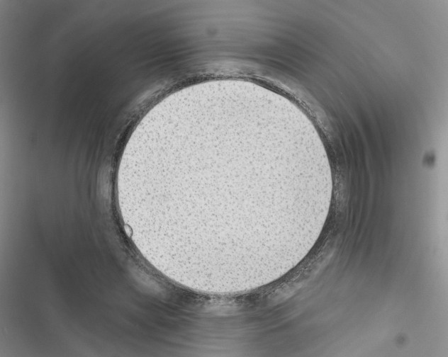 X0000116430445201001191514